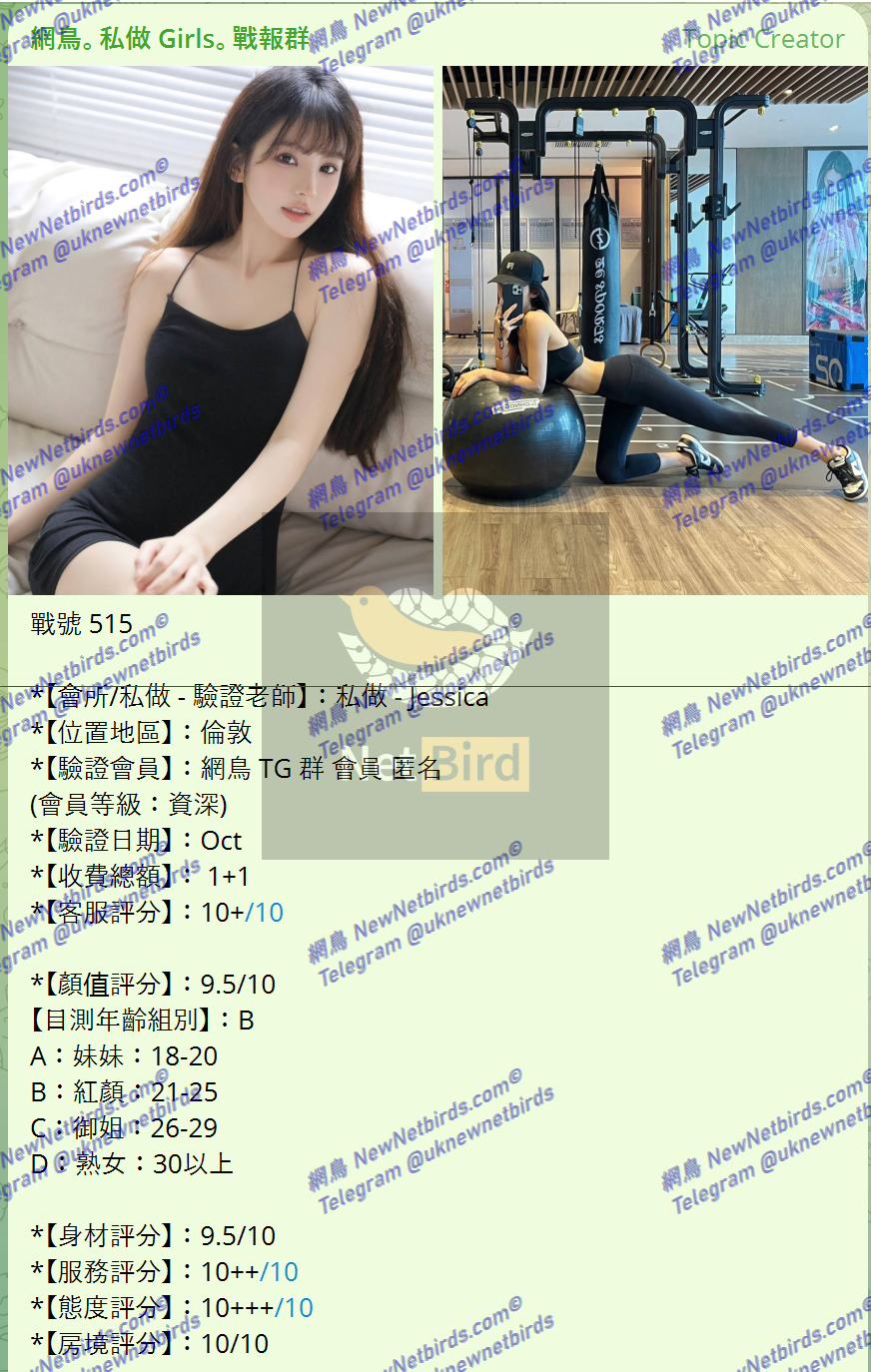 戰號 515 1.png